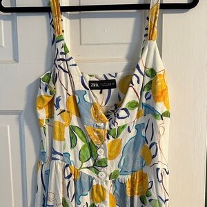 Zara Multicolor Fruit Print Dress